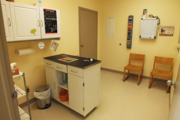 veterinary exam room