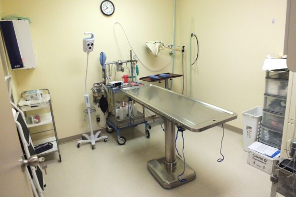 veterinary surgery room