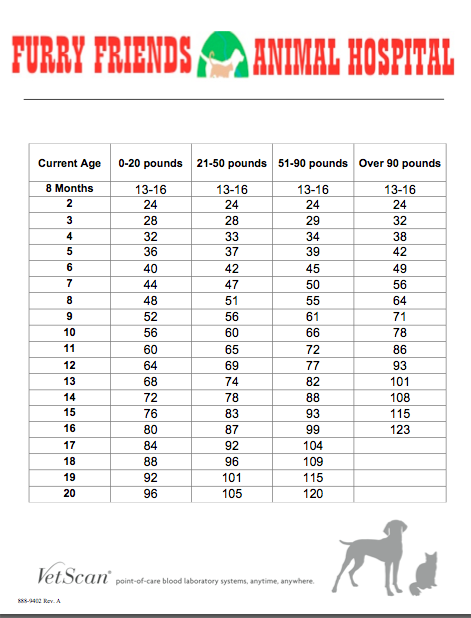 dog and cat age chart